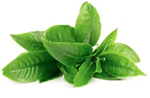 Neuro-Serge-ingredients-4